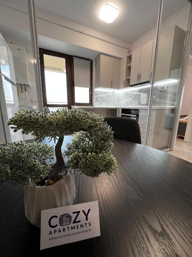 Cozy Apartments - City Center Iasi Exterior foto